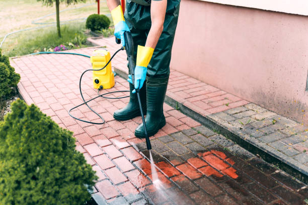 Best Pressure Washing Driveway  in Bonduel, WI