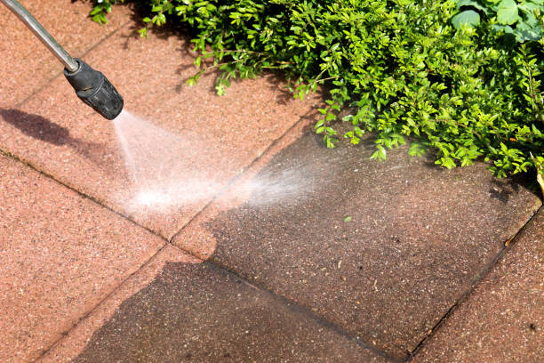 Best Concrete Pressure Washing  in Bonduel, WI